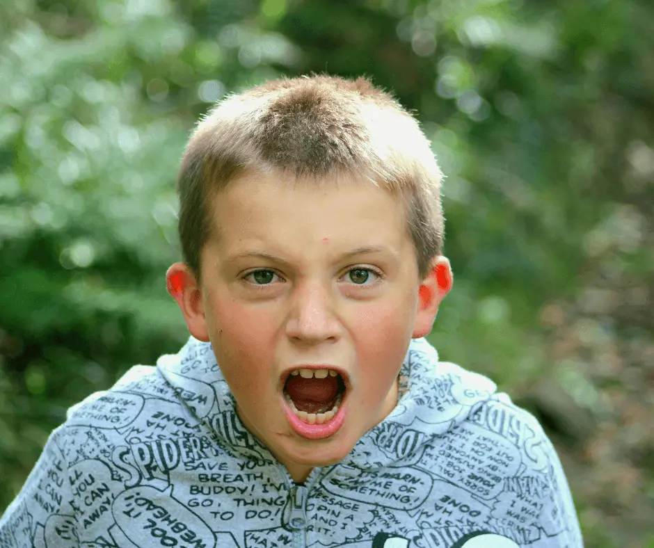 Parenting a Strong-Willed Child