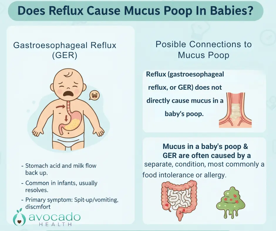 Avocado Health Parent Coaching