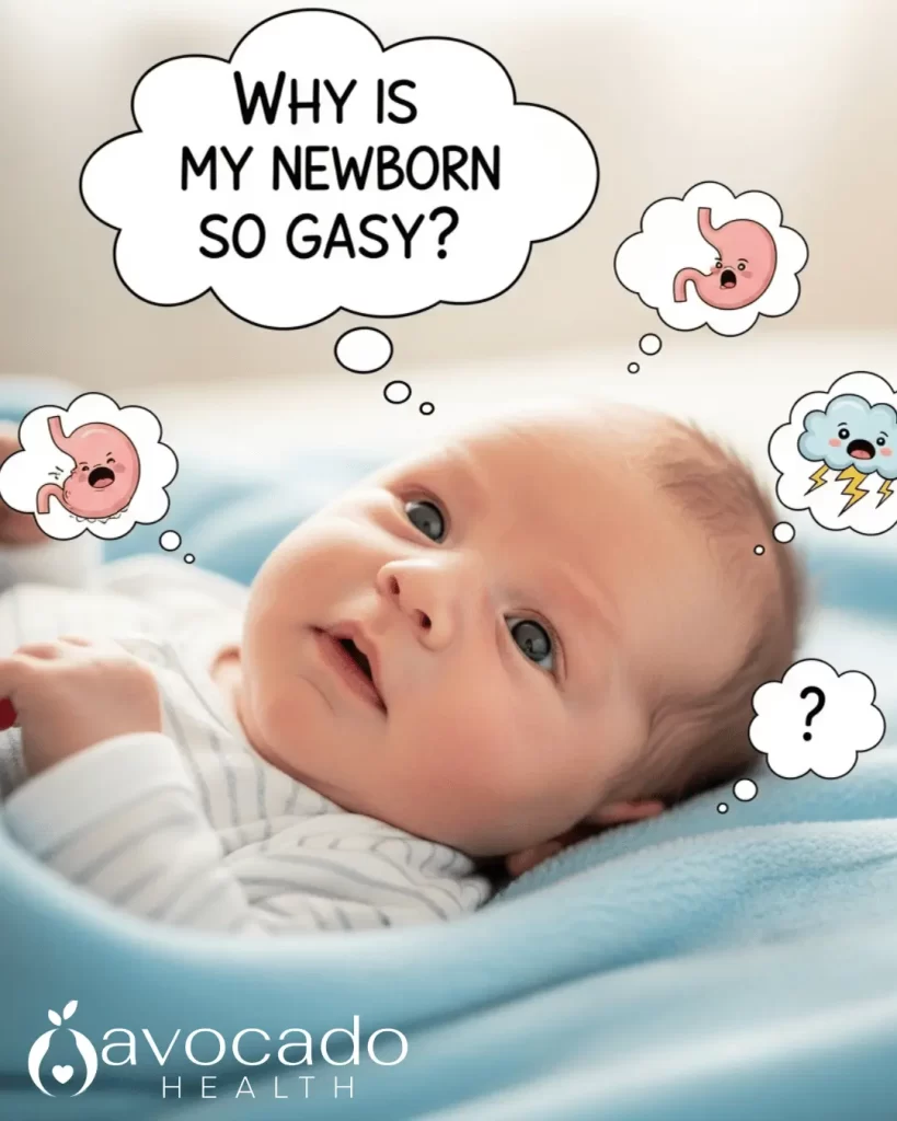Why is my newborn so gassy