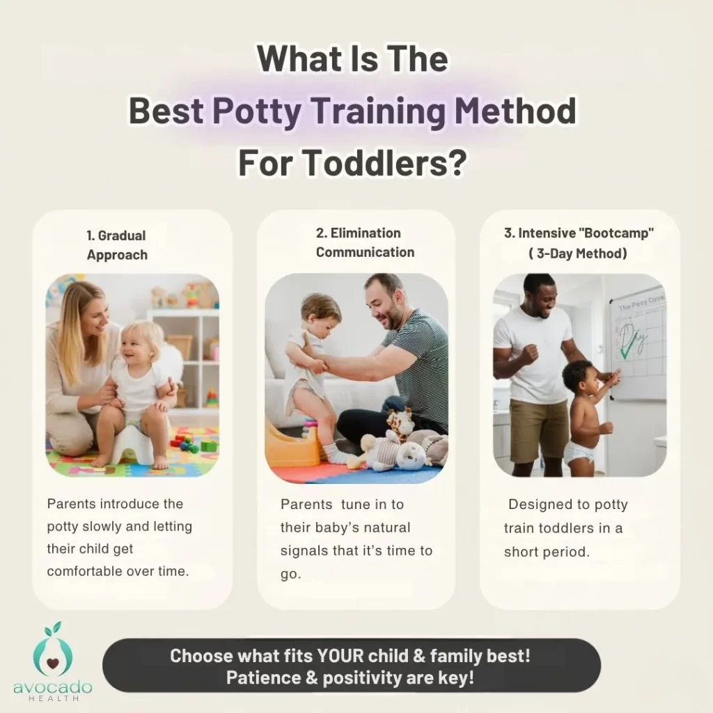What Is The Best Potty Training Method For Toddlers