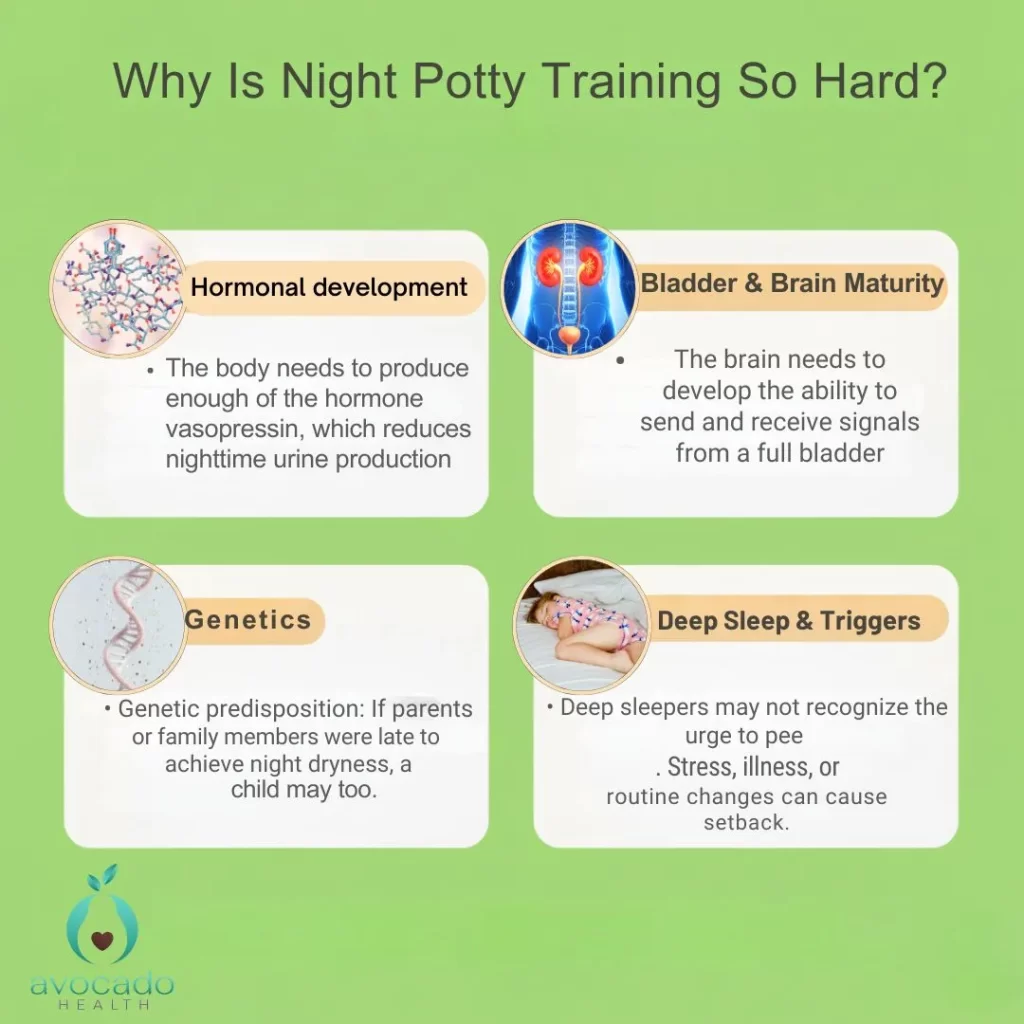 Why Is Night Potty Training So Hard