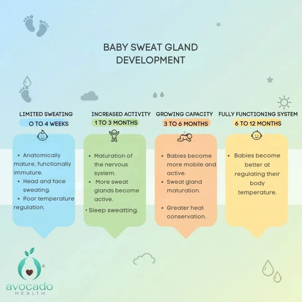 Baby Sweating Timeline by Age