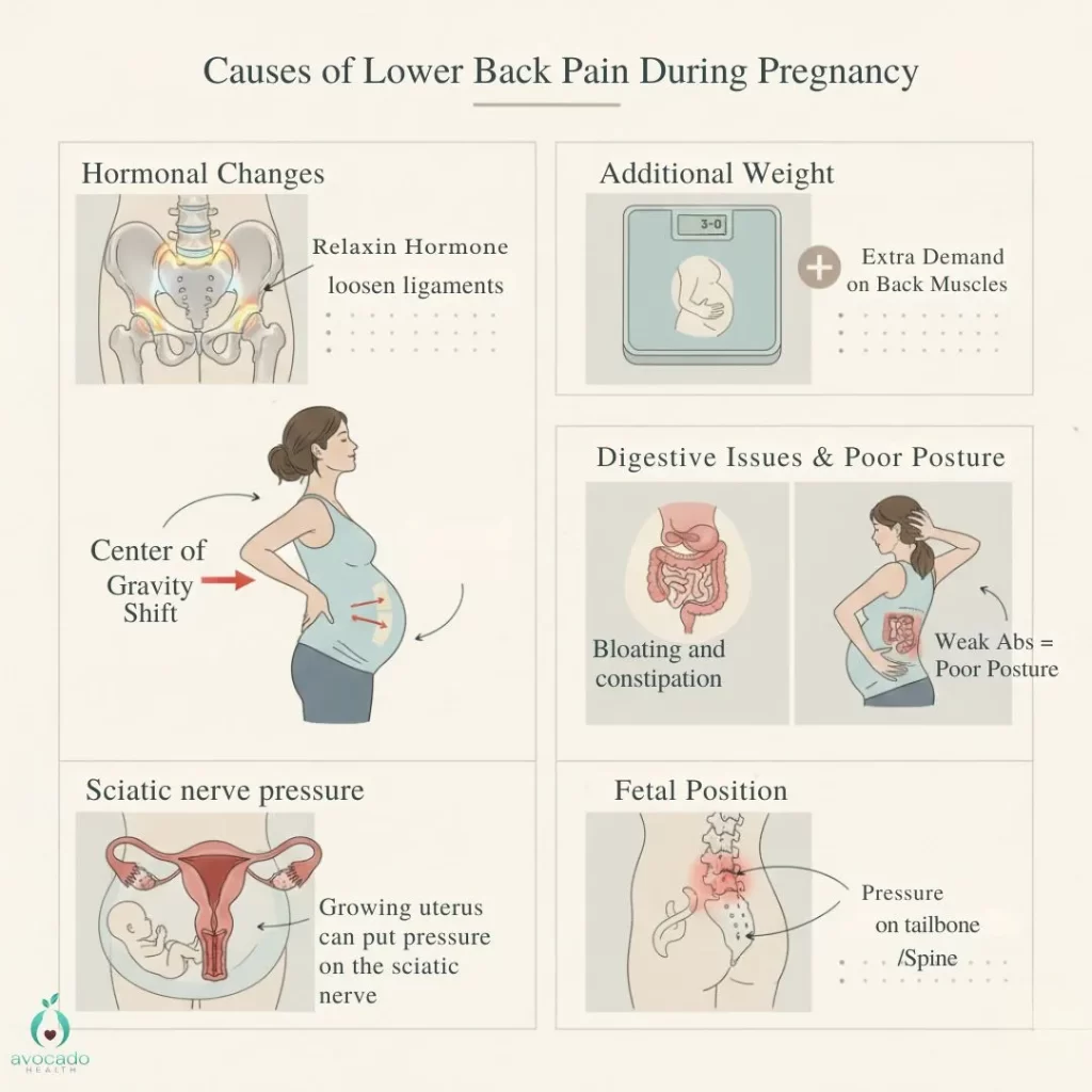 Avocado Health Parent Coaching