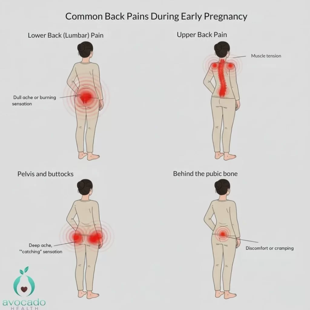 What Kind Of Back Pain Is Normal During Pregnancy