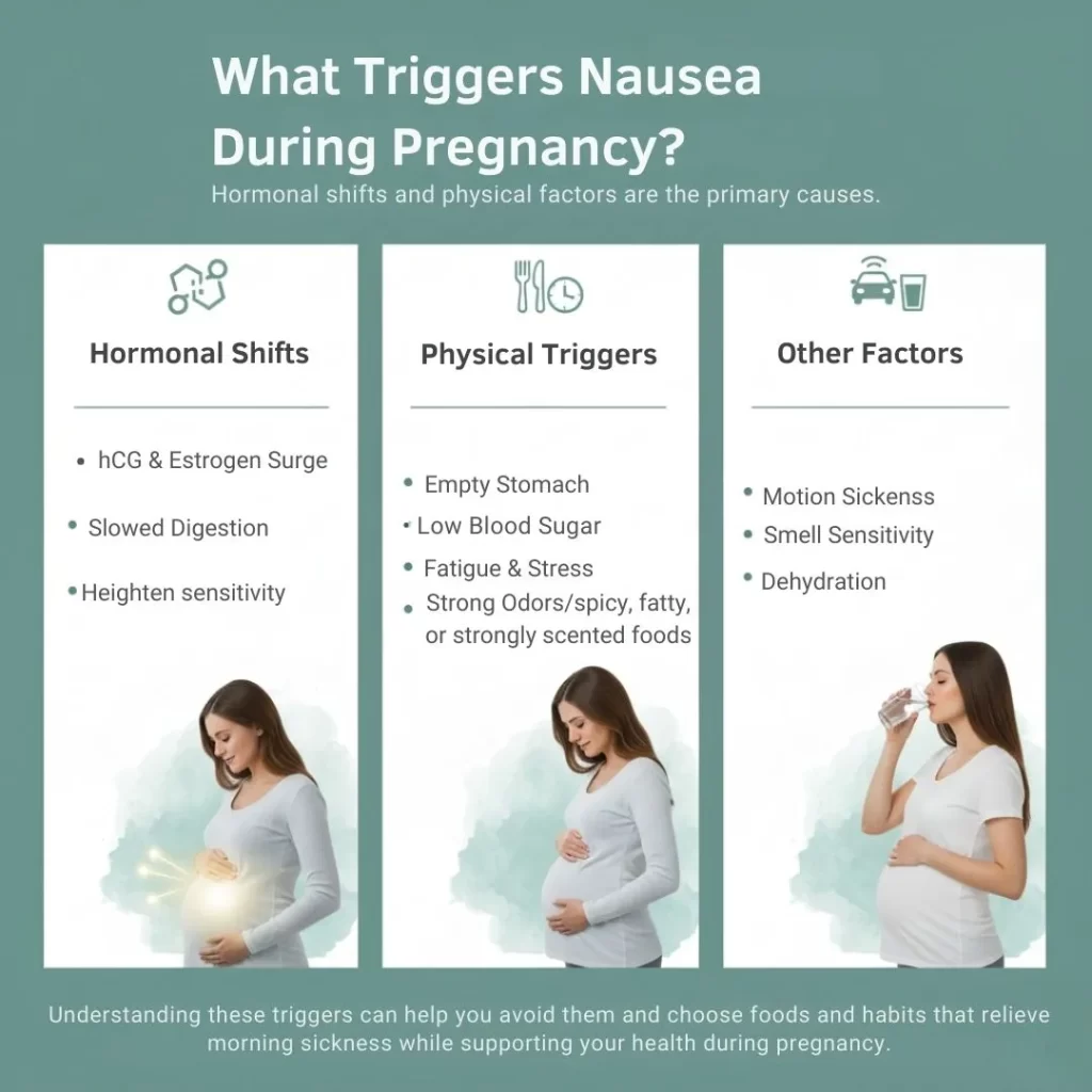 What Triggers Nausea During Pregnancy