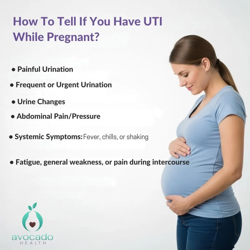 How To Tell If You Have UTI While Pregnant