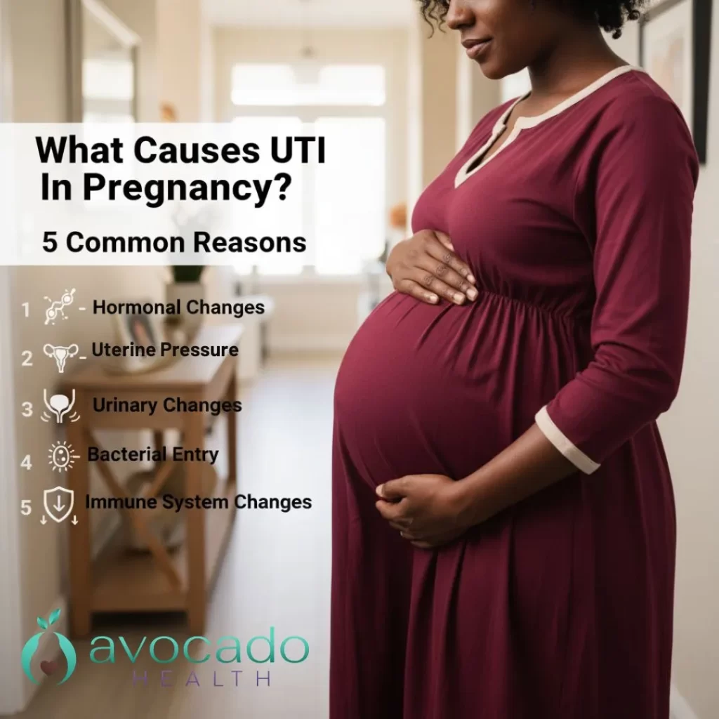 What Causes UTI In Pregnancy 5 Common Reasons